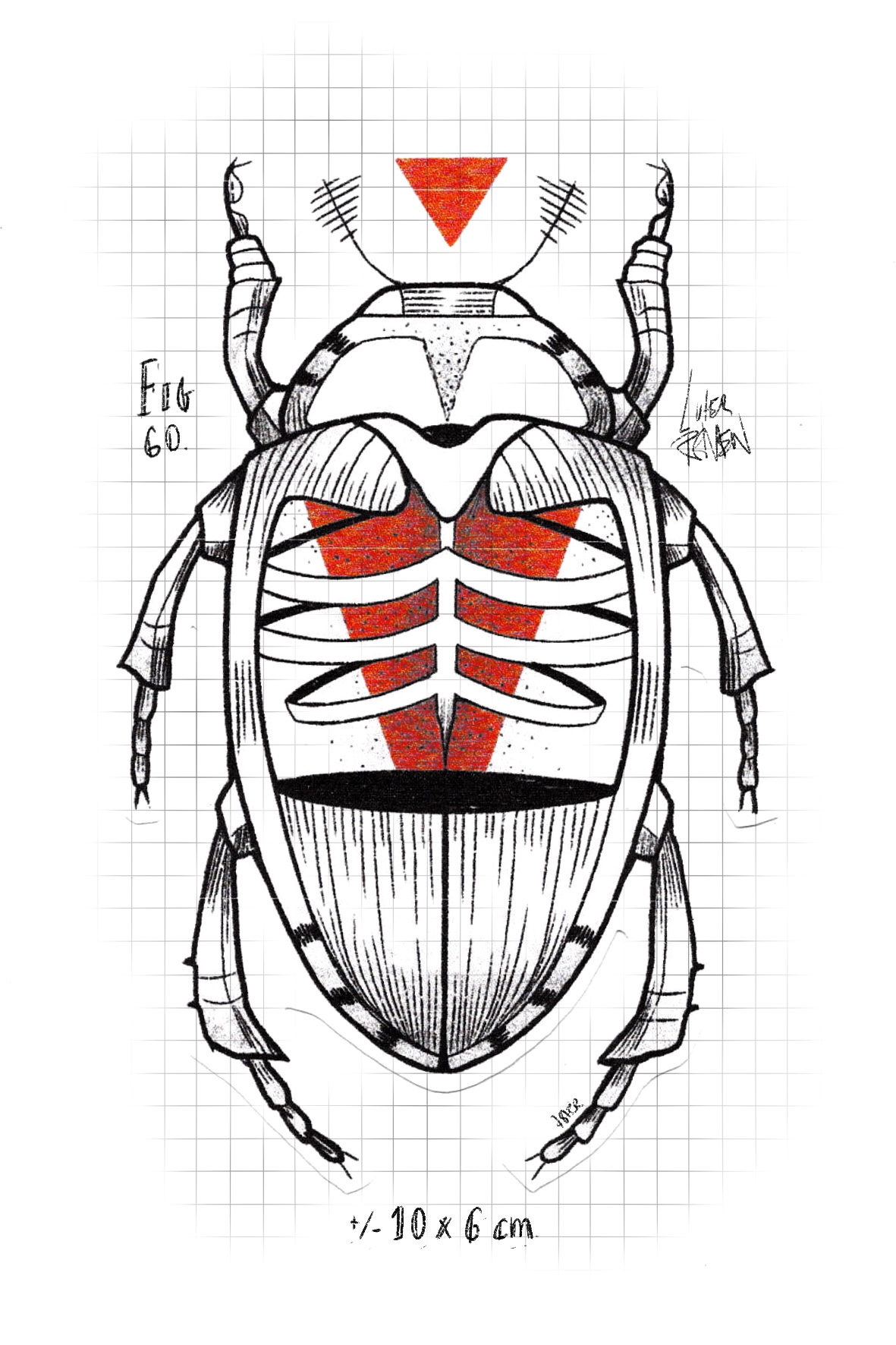 bug60