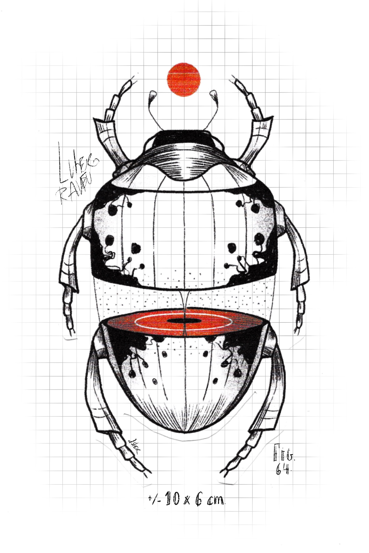bug64